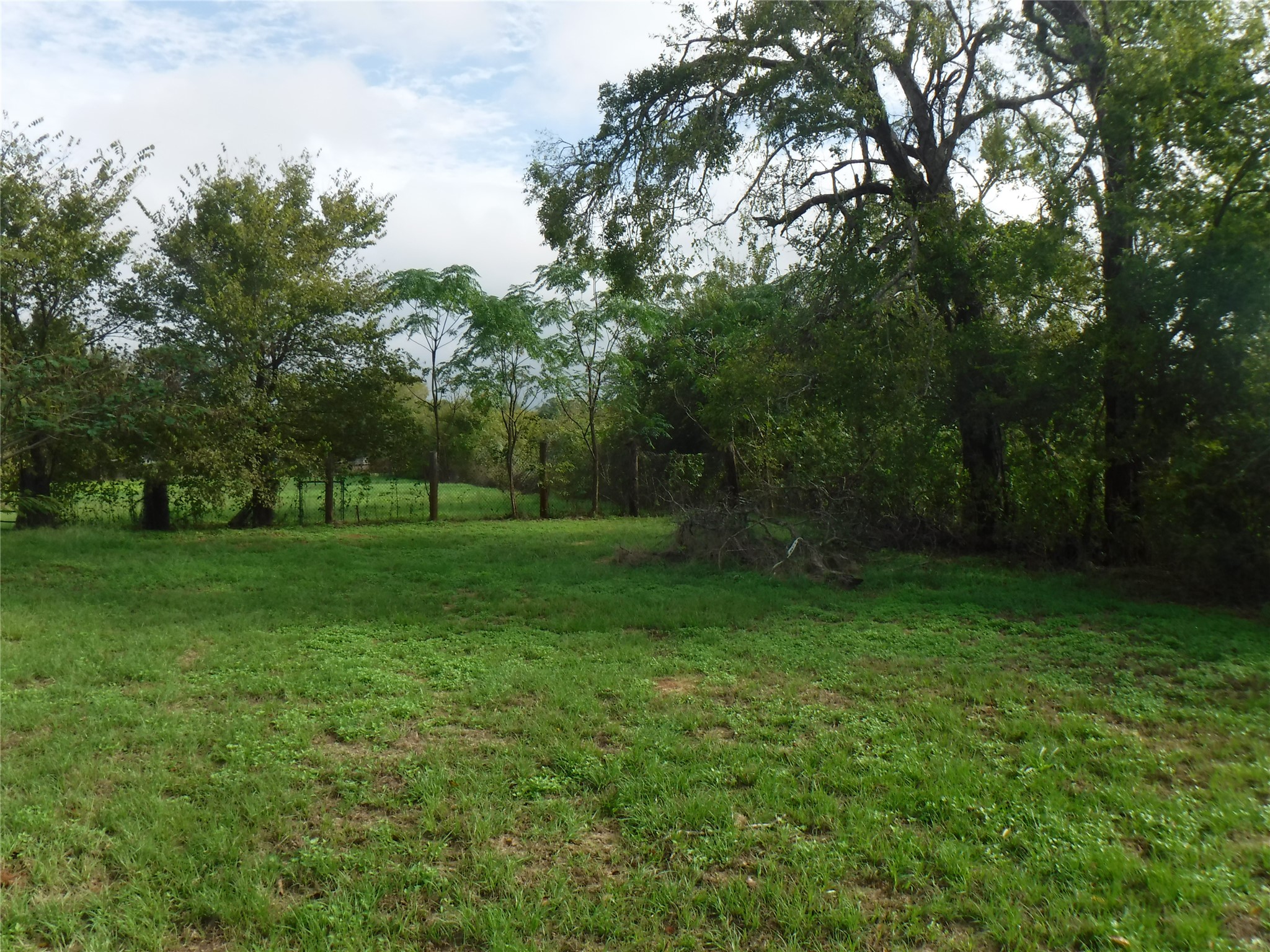 524 Old McDade Road Elgin, TX 78621 - Photo 8 of 9 Expansive green space featuring natural vegetation and mature trees