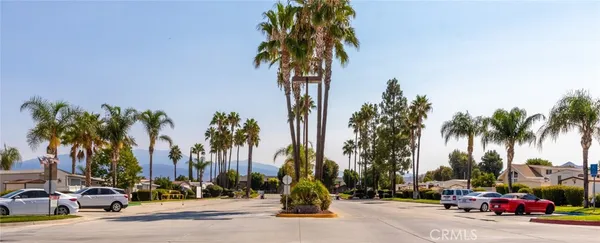 a street with cars and palm trees