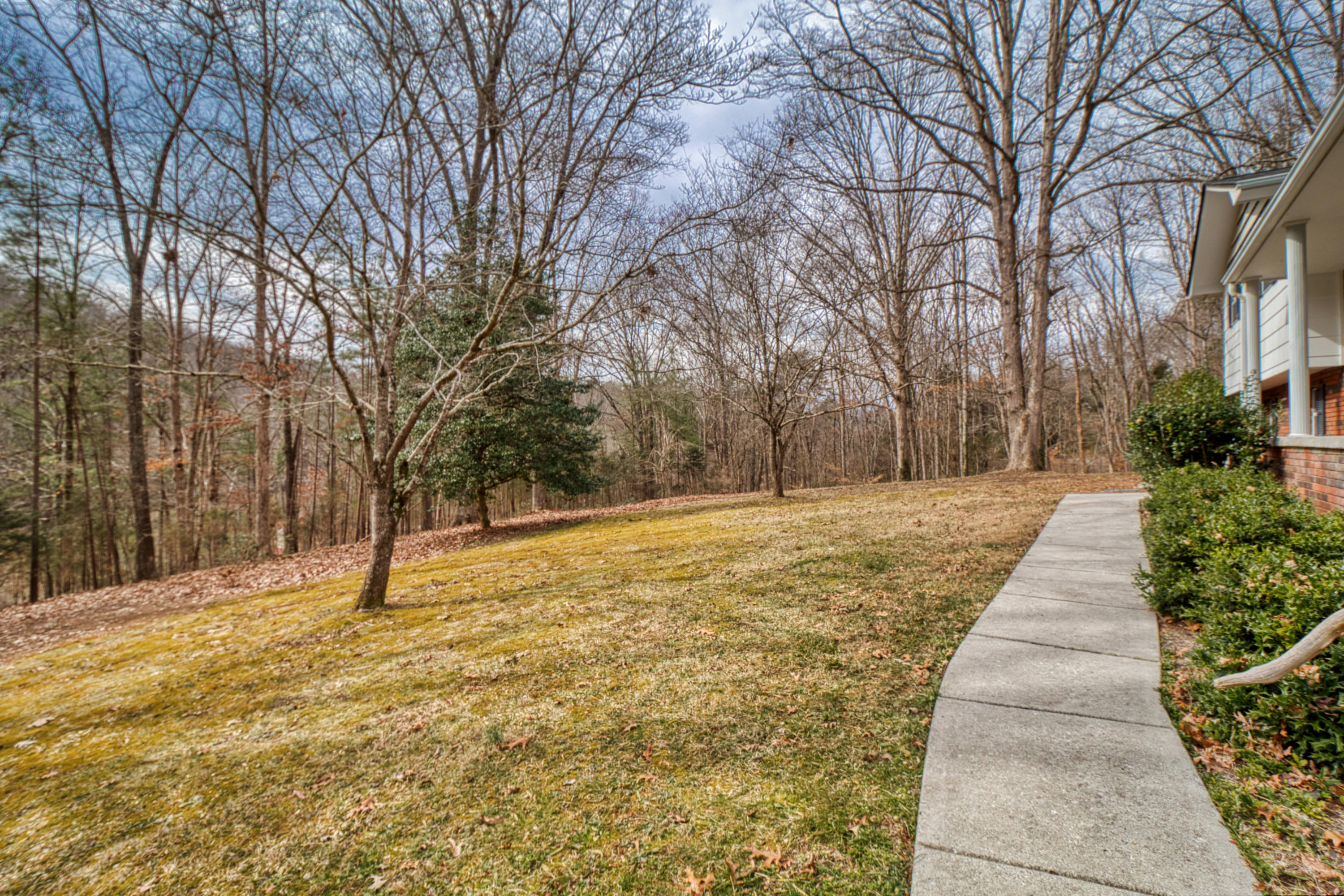 199 Davidson Hollow Road Heiskell, TN 37754 - Photo 3 of 30 IMG_8061