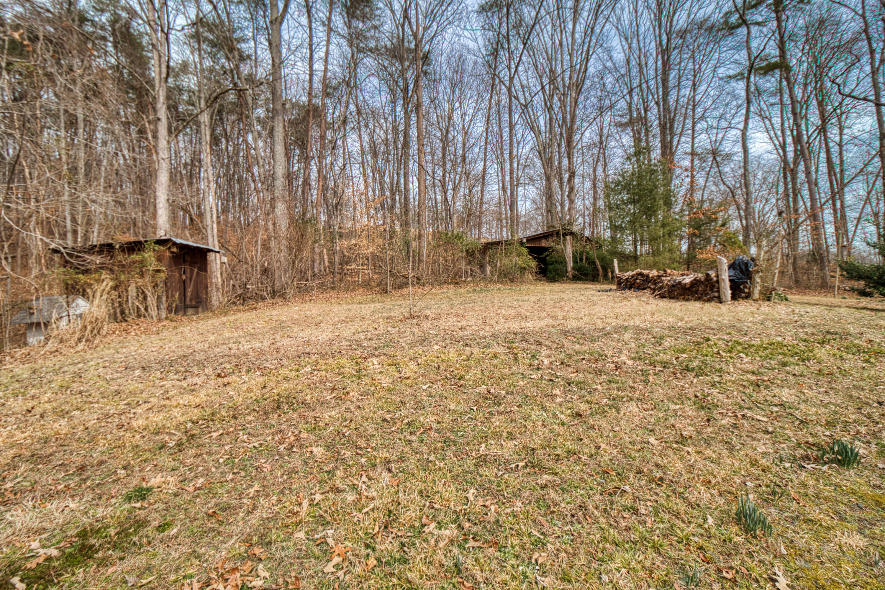 199 Davidson Hollow Road Heiskell, TN 37754 - Photo 28 of 30 IMG_8065