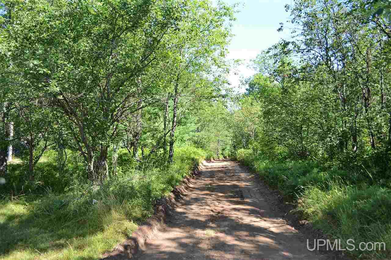 2260 West Co Road Gwinn, MI 49841 - Photo 3 of 13