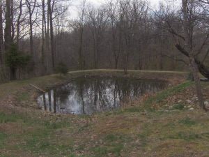 1777 Rariden Hill Mitchell, IN 47446 - Photo 4 of 4