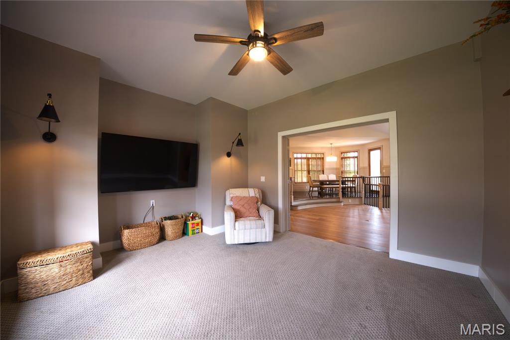 823 Ridge Road Waterloo, IL 62298 - Photo 25 of 94