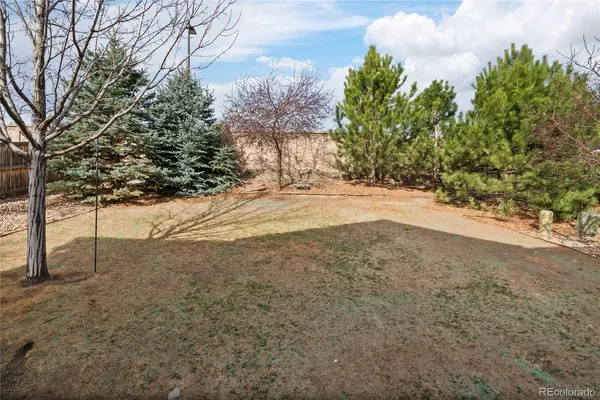 a view of a yard with large trees
