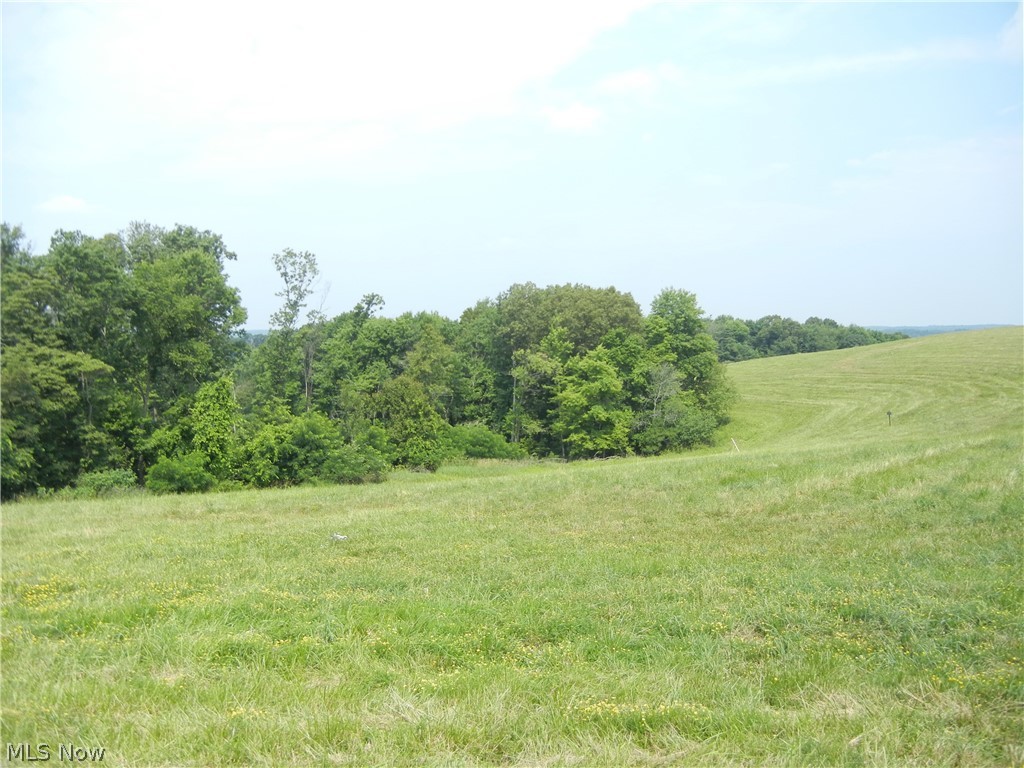Mt Pleasant Road Dover, OH 44622 - Photo 6 of 23 Gallery Image 6