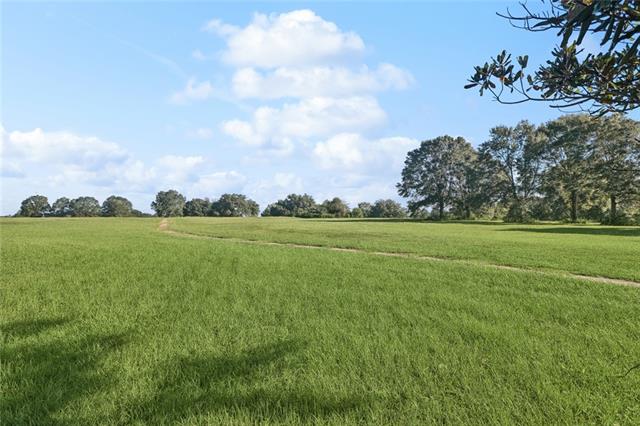 Tbd Sylvest Road Franklinton, LA 70438 - Photo 14 of 23