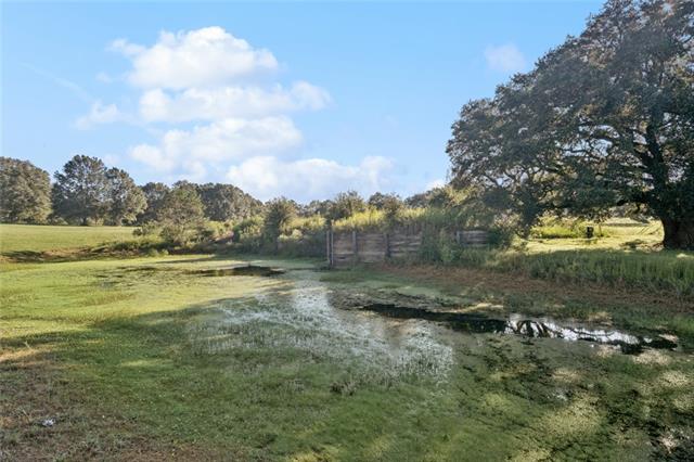 Tbd Sylvest Road Franklinton, LA 70438 - Photo 15 of 23