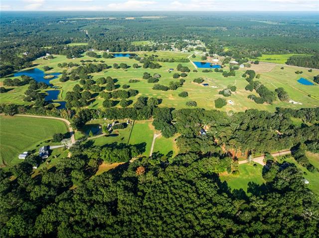 Tbd Sylvest Road Franklinton, LA 70438 - Photo 17 of 23