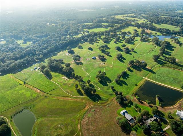 Tbd Sylvest Road Franklinton, LA 70438 - Photo 2 of 23