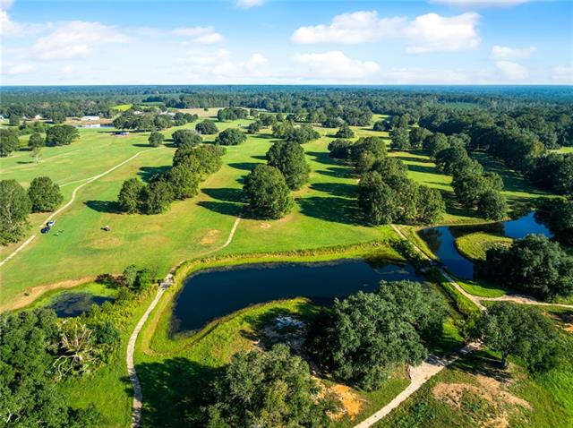 Tbd Sylvest Road Franklinton, LA 70438 - Photo 21 of 23