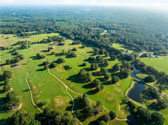 Tbd Sylvest Road Franklinton, LA 70438 - Photo 4 of 23