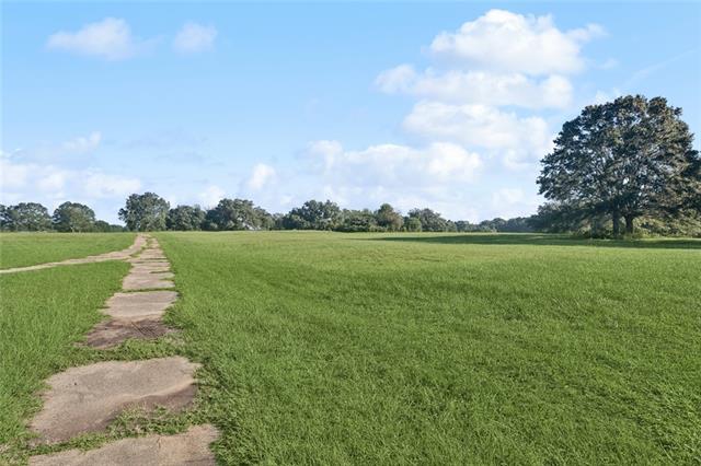 Tbd Sylvest Road Franklinton, LA 70438 - Photo 8 of 23