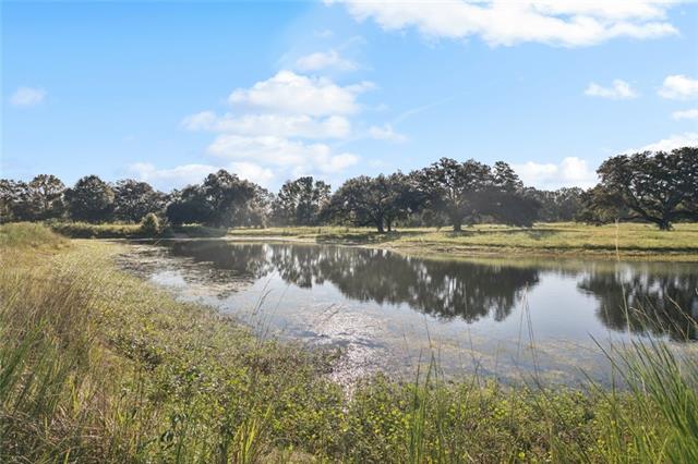 Tbd Sylvest Road Franklinton, LA 70438 - Photo 9 of 23