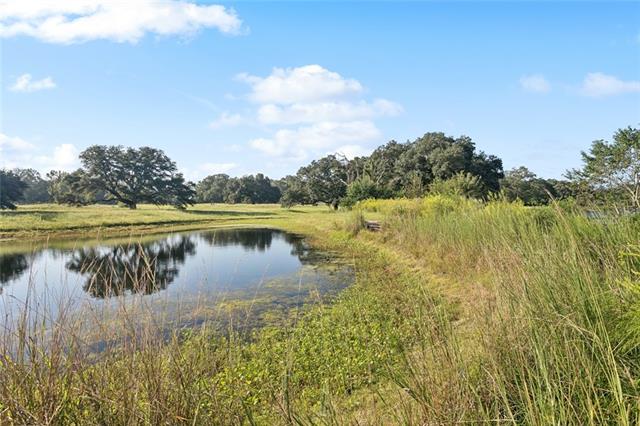 Tbd Sylvest Road Franklinton, LA 70438 - Photo 10 of 23