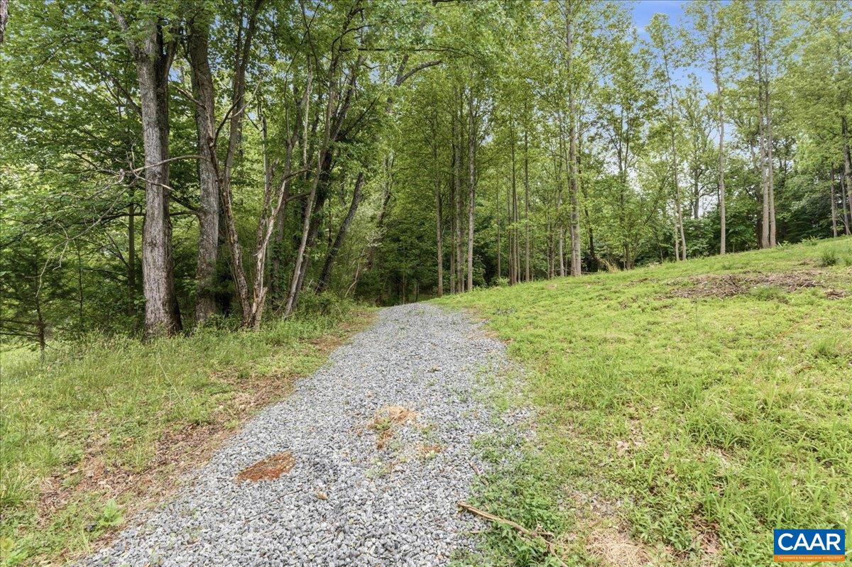 615 Half Mile Branch Road Crozet, VA 22932 - Photo 12 of 20
