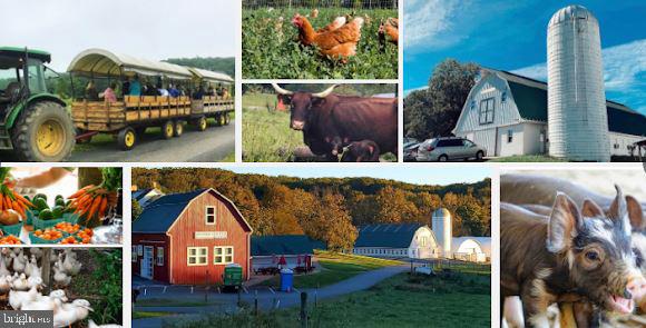 11843 Linden Chapel Road Clarksville, MD 21029 - Photo 125 of 128