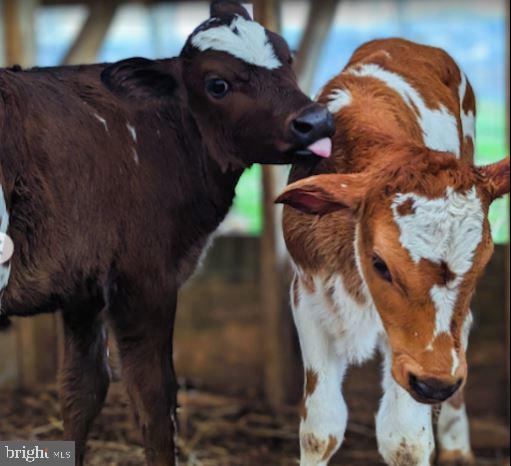 11843 Linden Chapel Road Clarksville, MD 21029 - Photo 127 of 128