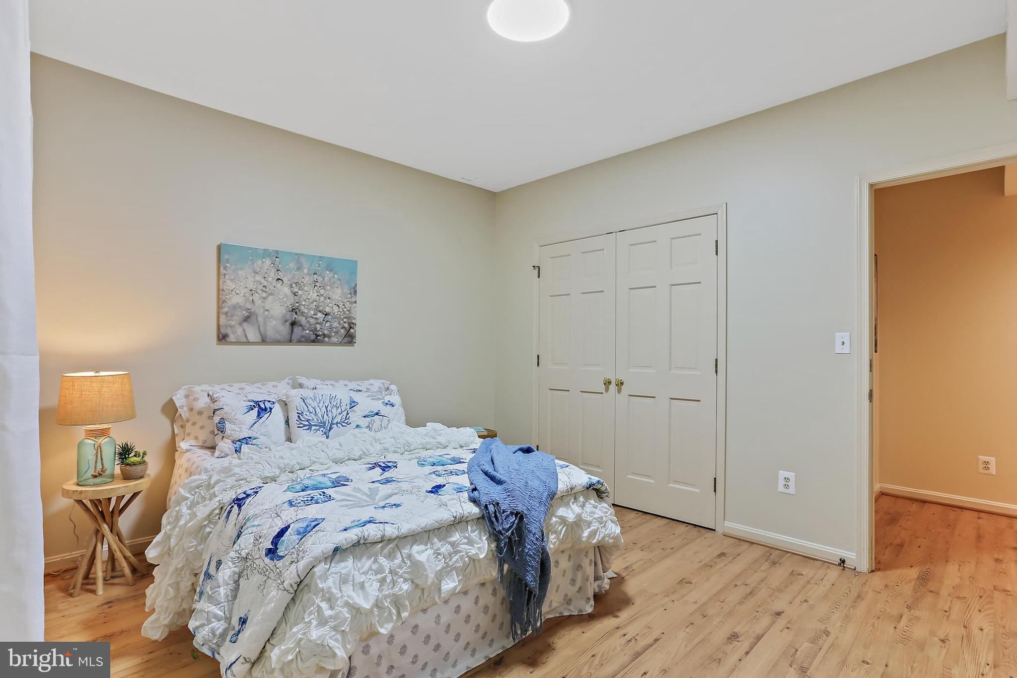 11843 Linden Chapel Road Clarksville, MD 21029 - Photo 81 of 128 Double closets