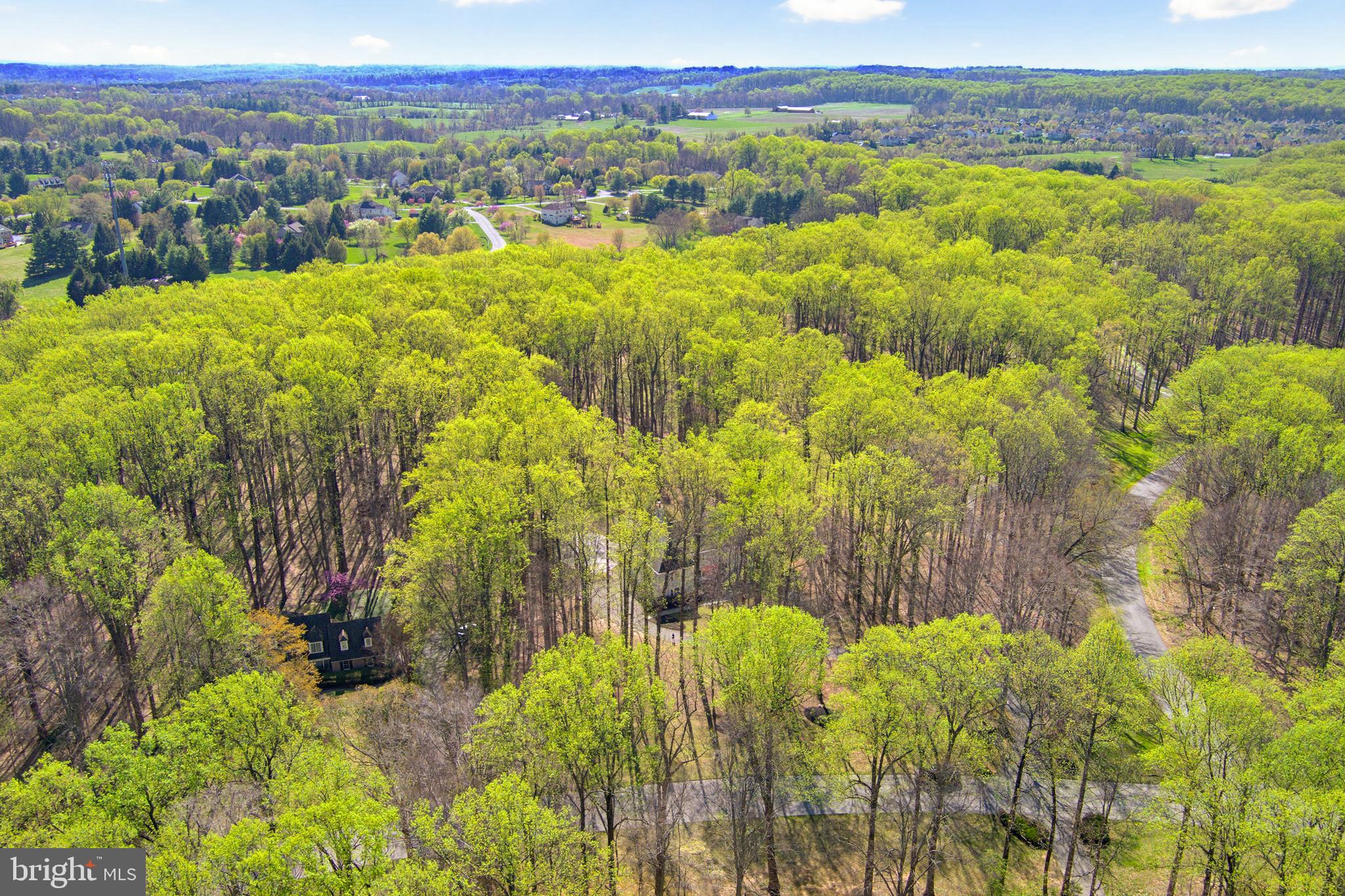11843 Linden Chapel Road Clarksville, MD 21029 - Photo 9 of 128 a view of a city with lush green forest