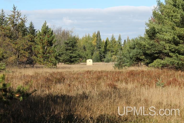 Tbd Missouri Rd - Co Rd 565, Unit LAT 46 31633 LON 87 5822 Gwinn, MI 49841 - Photo 7 of 30