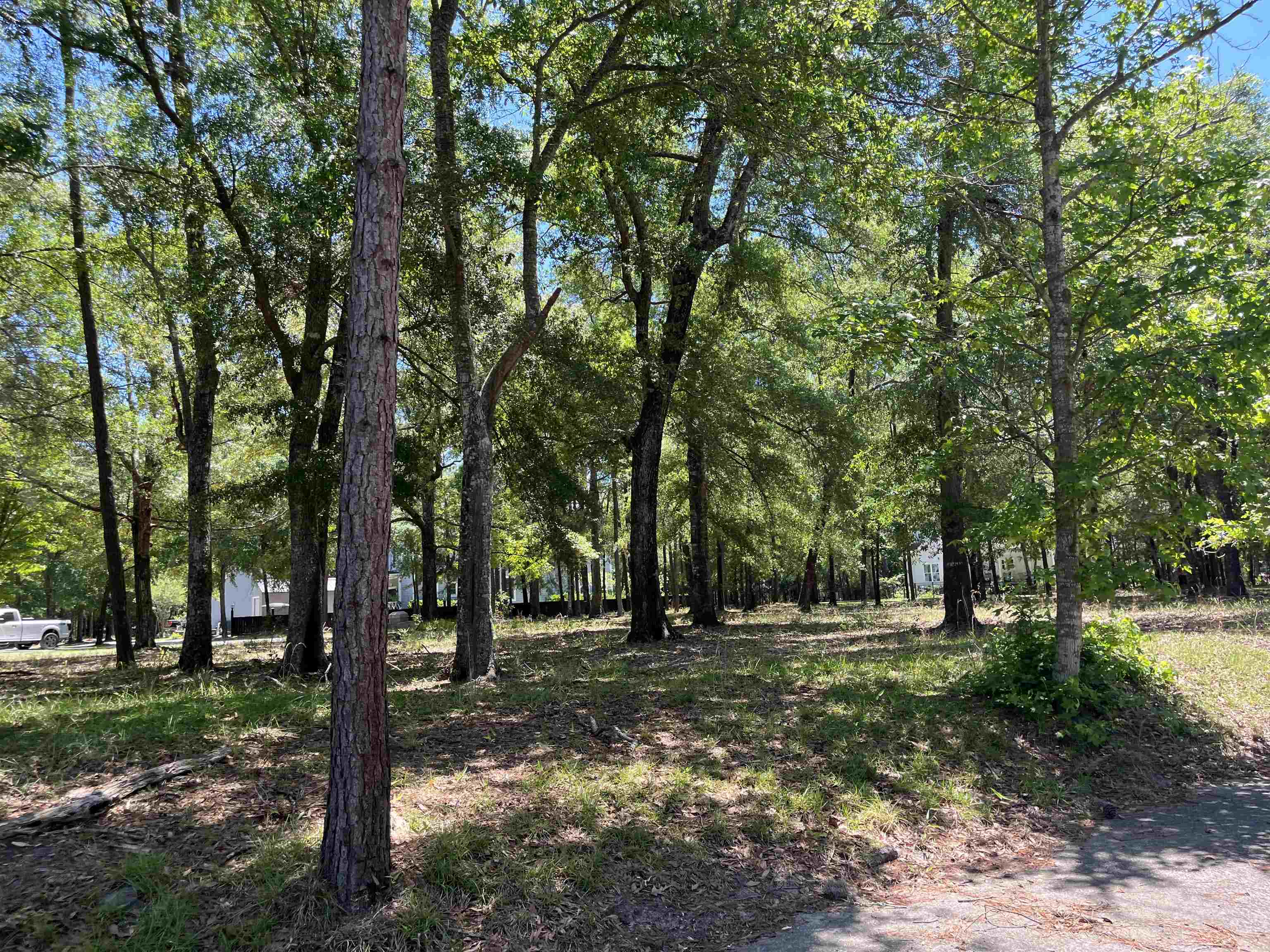 32 Crescent Drive Georgetown, SC 29440 - Photo 2 of 25