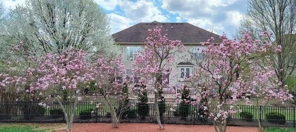 a front view of a house with a yard and trees