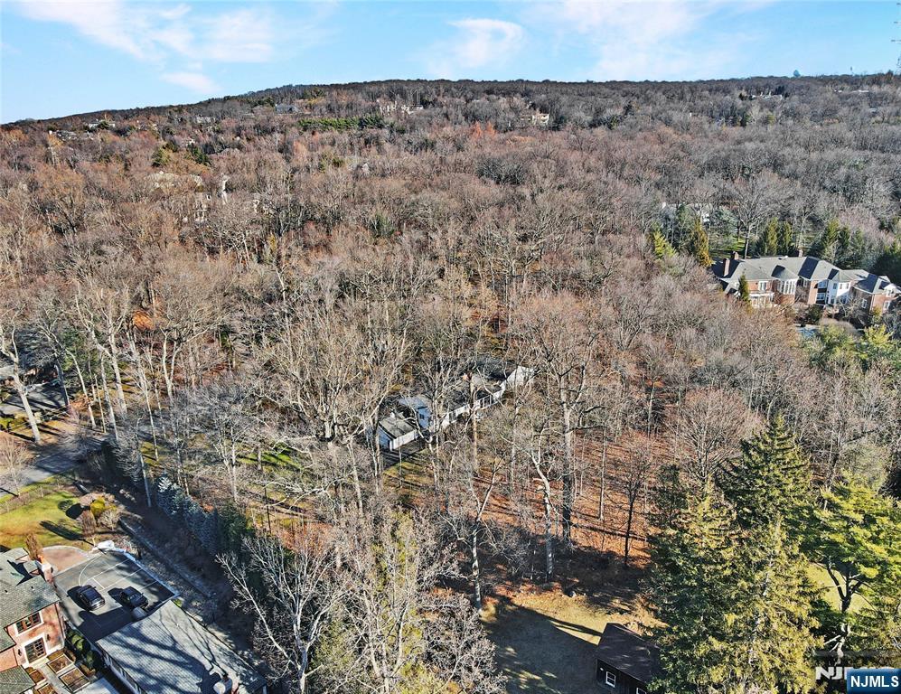 32 Litchfield Way Alpine, NJ 07620 - Photo 29 of 30