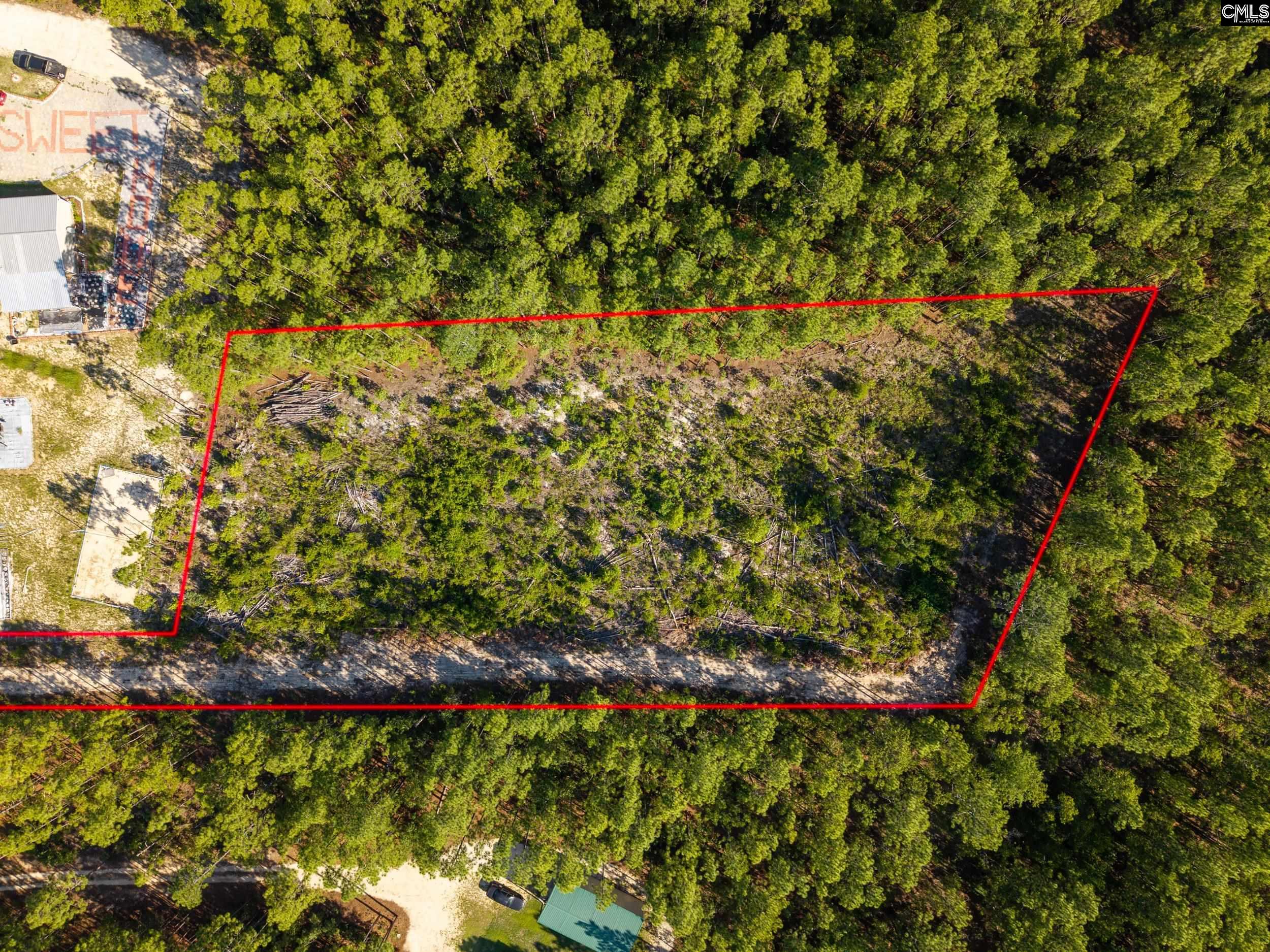 0 Pine Plain Road Gaston, SC 29053 - Photo 2 of 7