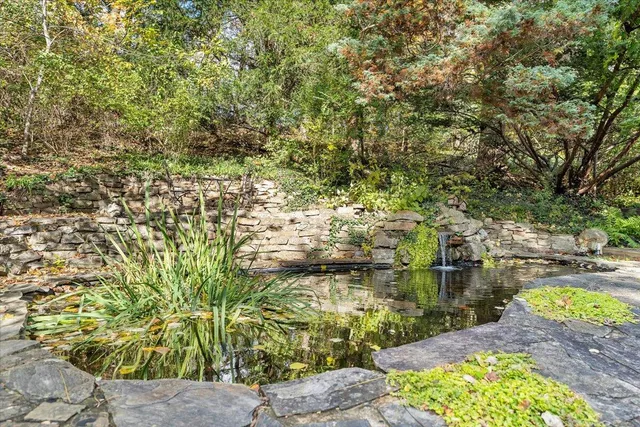 a view of garden view