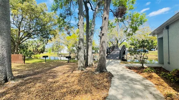 a view of a yard with plants and trees