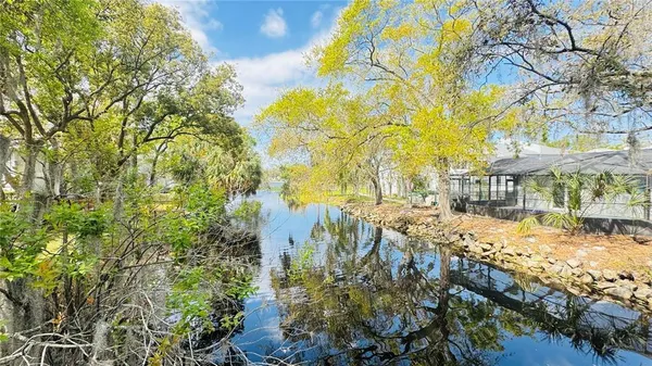a view of backyard of house