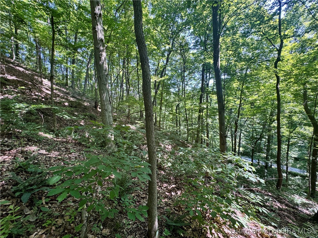 Off Gibson Hollow Road Borden, IN 47106 - Photo 12 of 53