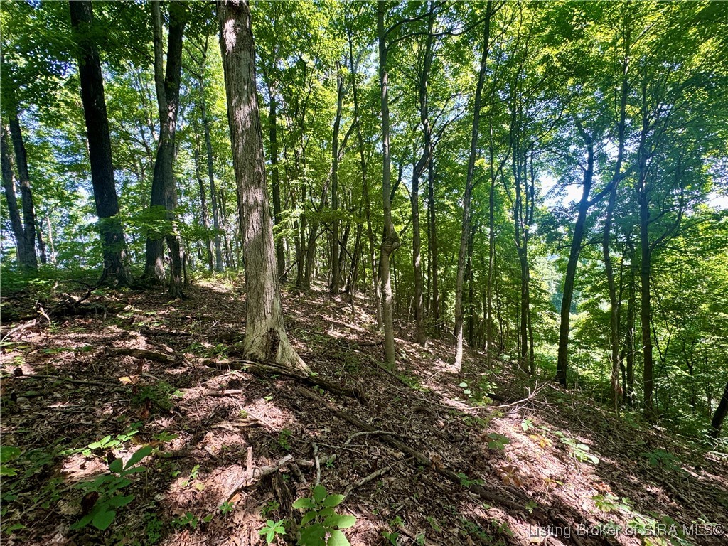 Off Gibson Hollow Road Borden, IN 47106 - Photo 13 of 53