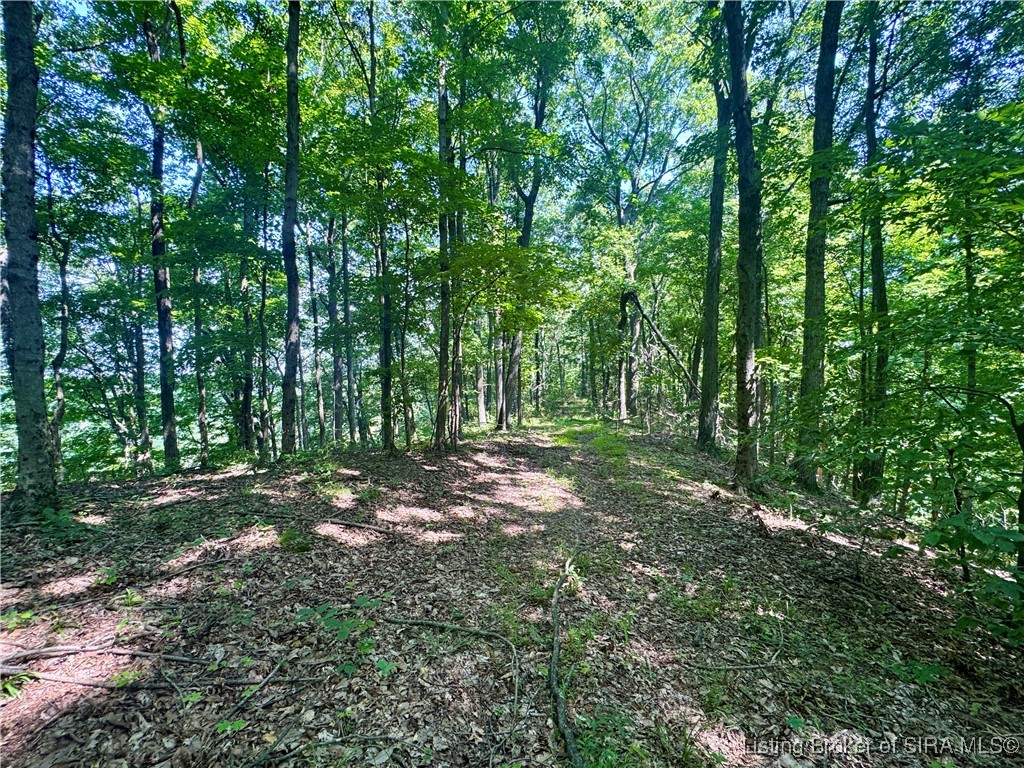 Off Gibson Hollow Road Borden, IN 47106 - Photo 20 of 53