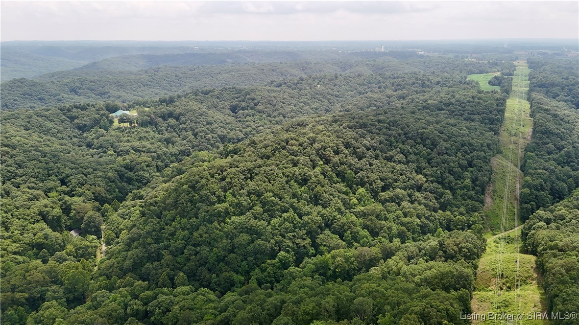 Off Gibson Hollow Road Borden, IN 47106 - Photo 3 of 53