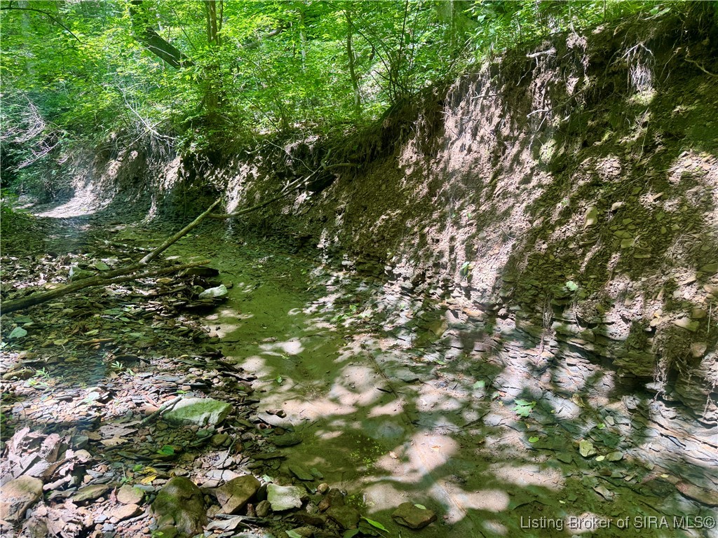 Off Gibson Hollow Road Borden, IN 47106 - Photo 32 of 53