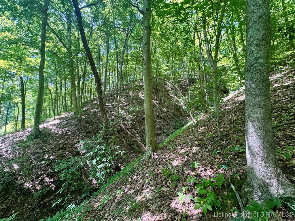 Off Gibson Hollow Road Borden, IN 47106 - Photo 35 of 53