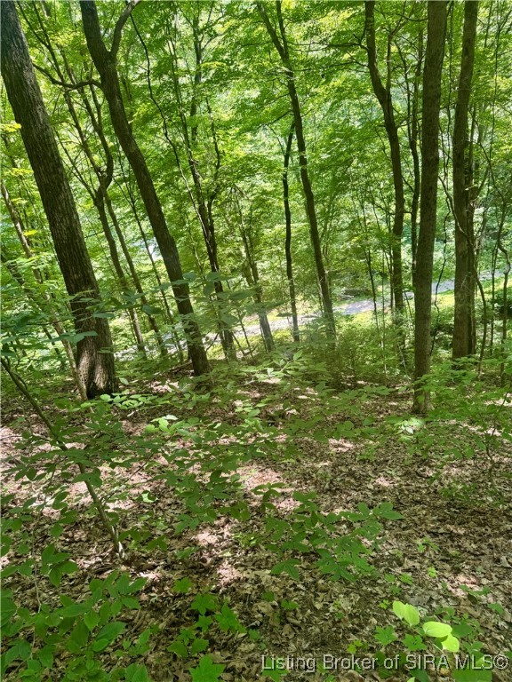 Off Gibson Hollow Road Borden, IN 47106 - Photo 36 of 53