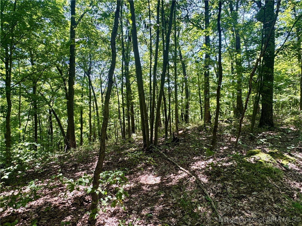 Off Gibson Hollow Road Borden, IN 47106 - Photo 40 of 53