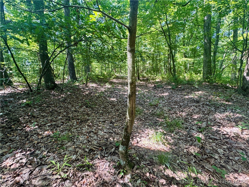 Off Gibson Hollow Road Borden, IN 47106 - Photo 43 of 53