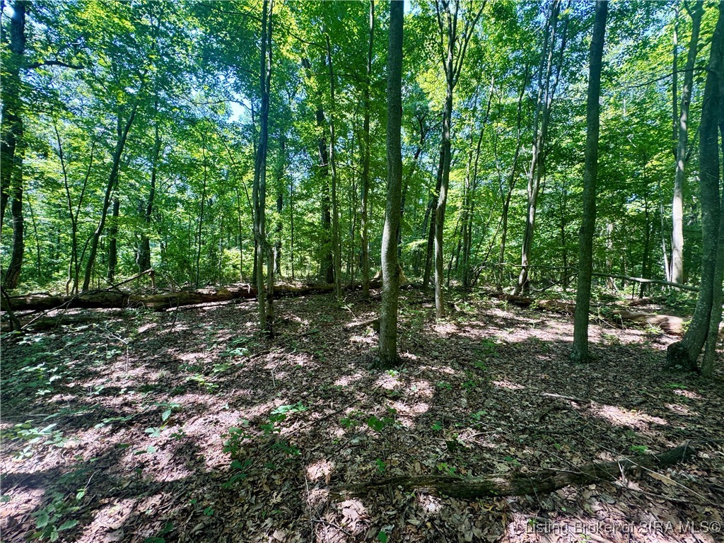 Off Gibson Hollow Road Borden, IN 47106 - Photo 45 of 53