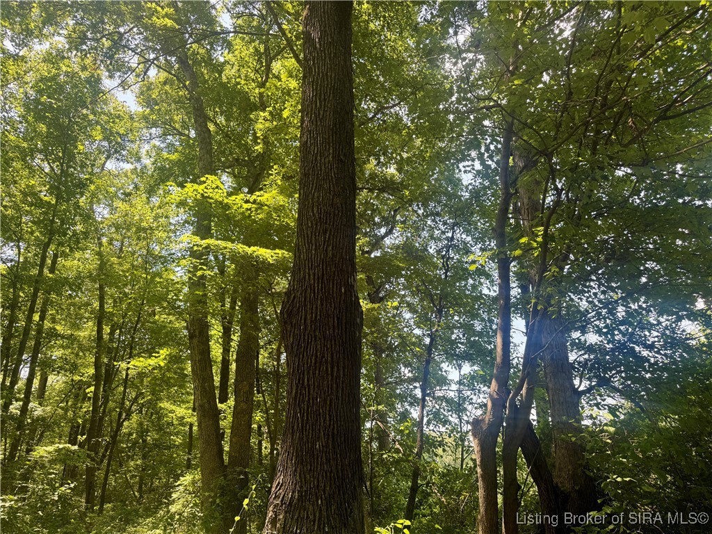 Off Gibson Hollow Road Borden, IN 47106 - Photo 48 of 53