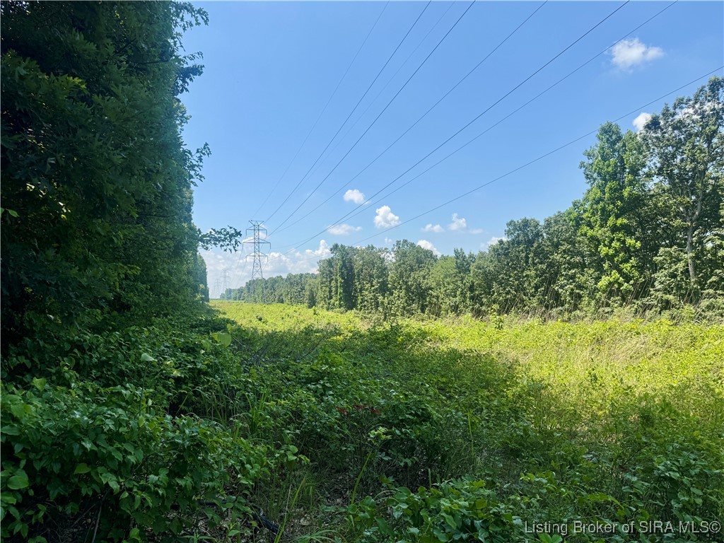 Off Gibson Hollow Road Borden, IN 47106 - Photo 49 of 53