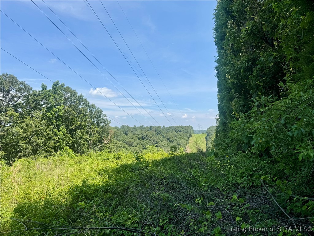 Off Gibson Hollow Road Borden, IN 47106 - Photo 50 of 53