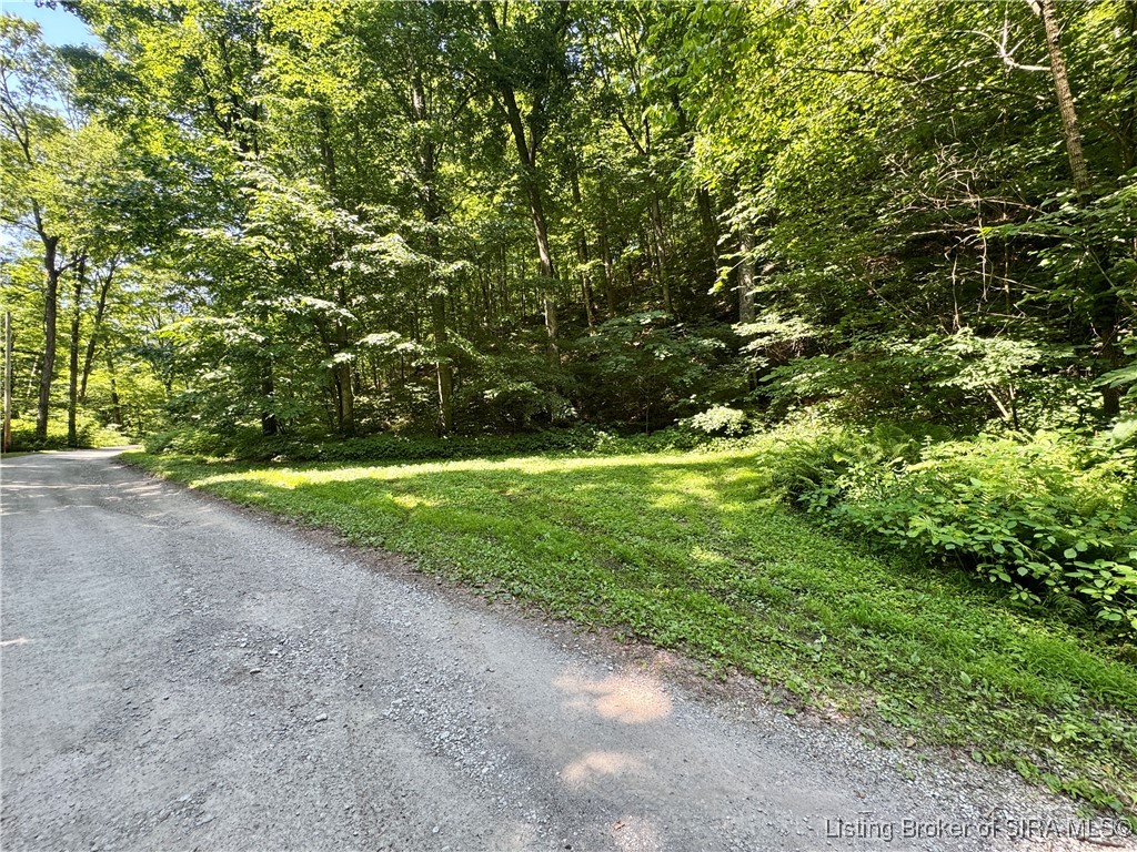 Off Gibson Hollow Road Borden, IN 47106 - Photo 6 of 53