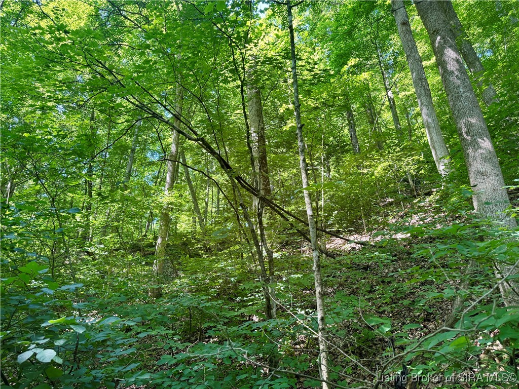 Off Gibson Hollow Road Borden, IN 47106 - Photo 8 of 53