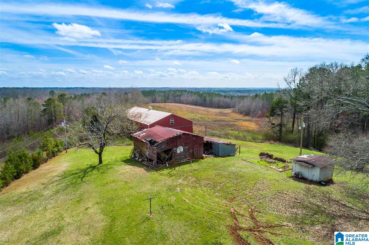 4199 Cowpens Road Alexander City, AL 35010 - Photo 6 of 50