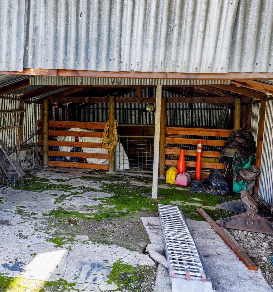 10550 Mooney Flat Road Smartsville, CA 95977 - Photo 31 of 56 Livestock Pen