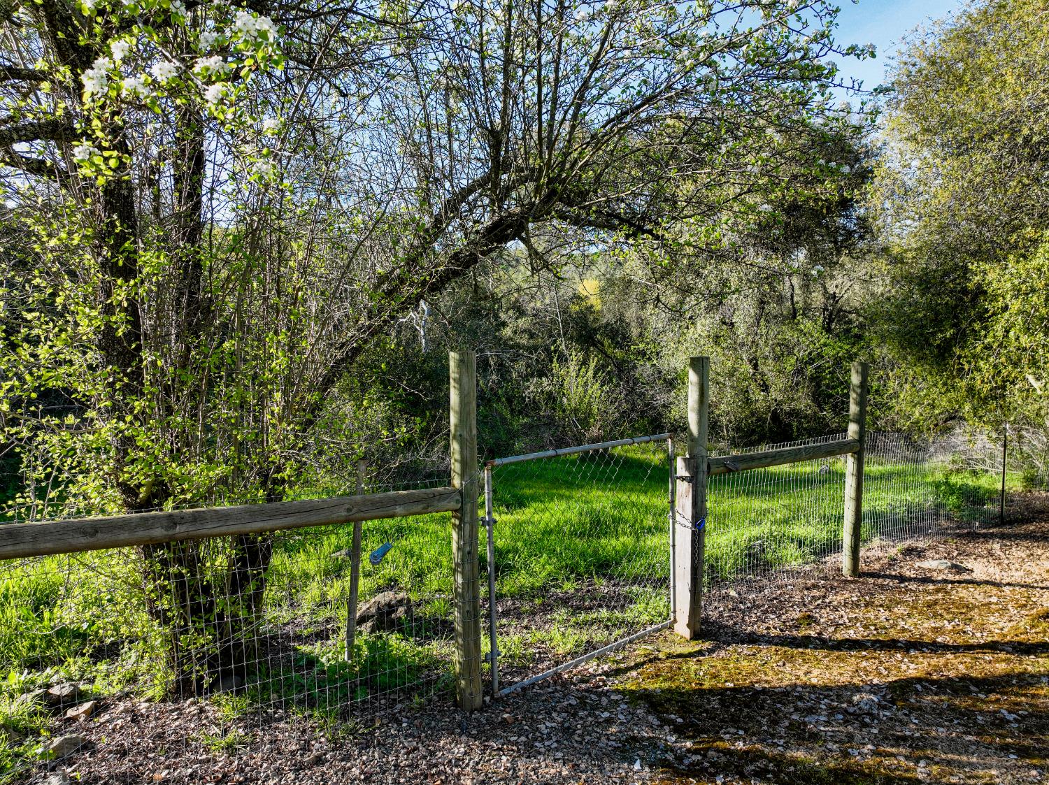 10550 Mooney Flat Road Smartsville, CA 95977 - Photo 32 of 56