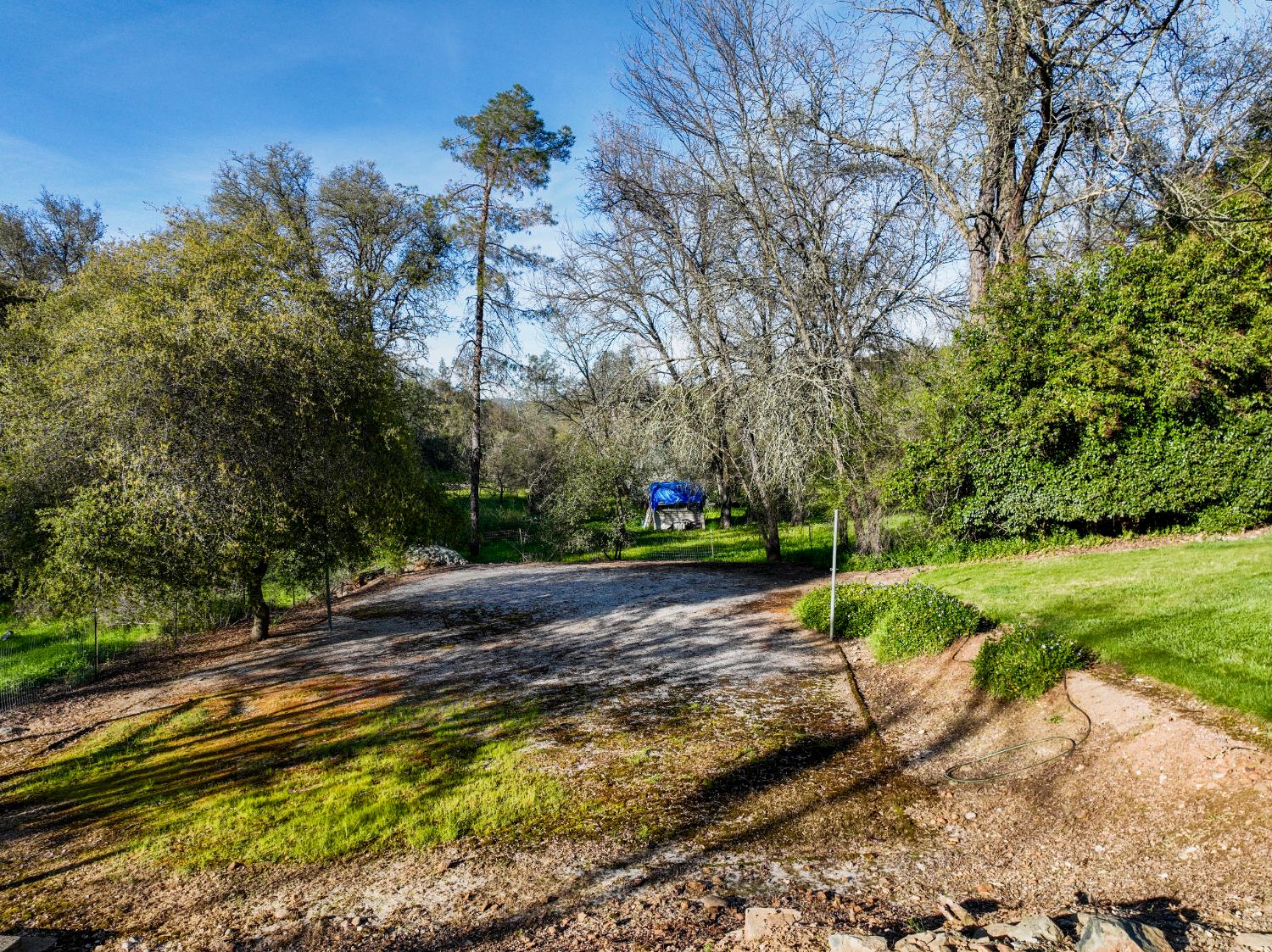 10550 Mooney Flat Road Smartsville, CA 95977 - Photo 33 of 56